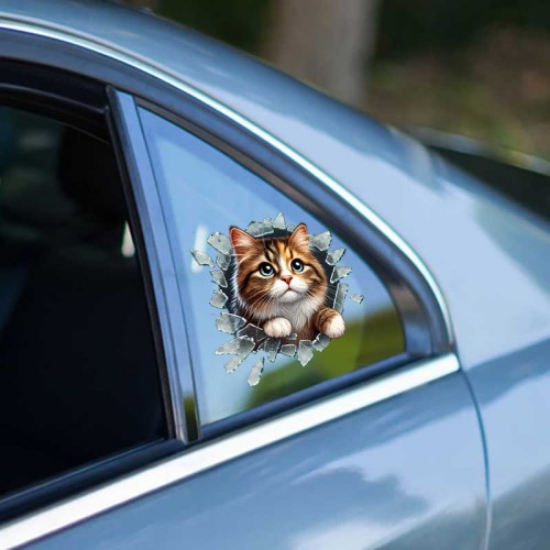 Fulcar Stray Araç Stickerı resmi