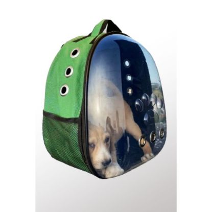 Deri Astronot Kedi Ve Köpek Taşıma Çantası Yeşil Renk  resmi