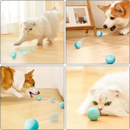 İnteraktif Kedi Köpek Şarjlı Oyun Topu resmi