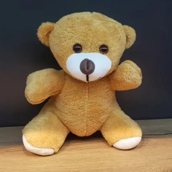Kahverengi Peluş Oyuncak Ayıcık resmi