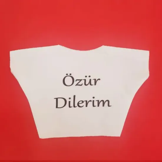 Özür Dilerim Yazılı Peluş Oyuncak Ayı Tişörtü resmi