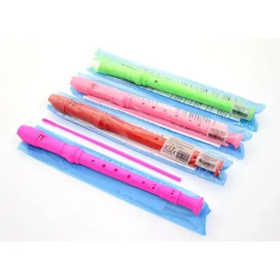 Renkli Plastik Flüt  resmi