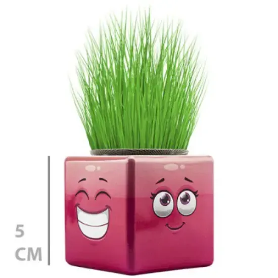 Çim Adam Mini Küp Emoji Figürlü 1 Adet resmi