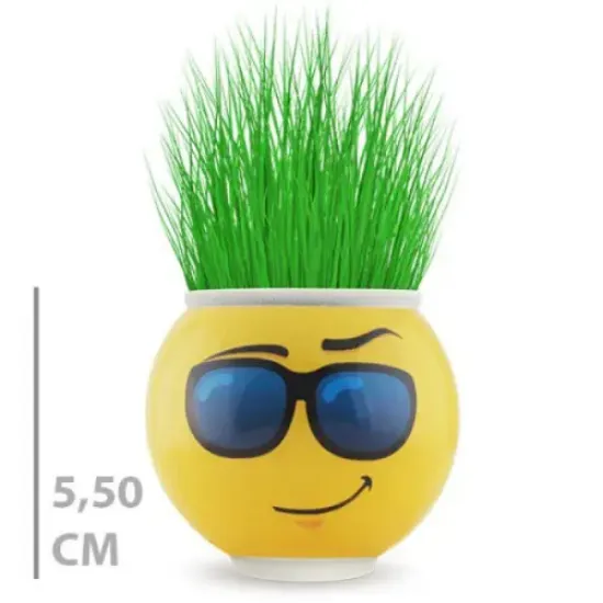 Çim Adam Saksı Emoji Figürlü 1 Adet resmi