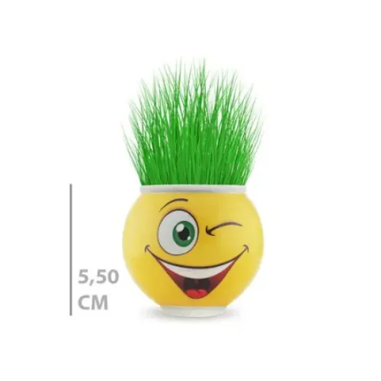 Çim Adam Saksı Emoji Figürlü 1 Adet resmi