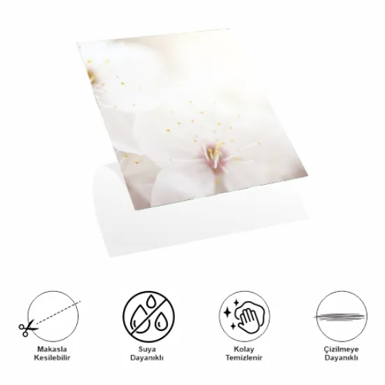 Decohandy 30x30 Cm Pvc Duvar Karosu 4'Lü Paket - Japon Çiçeği resmi