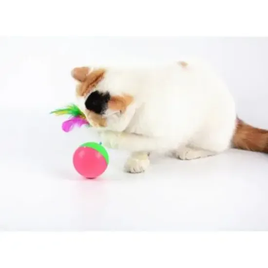 Kedi Fare Hacıyatmaz Oyunu resmi