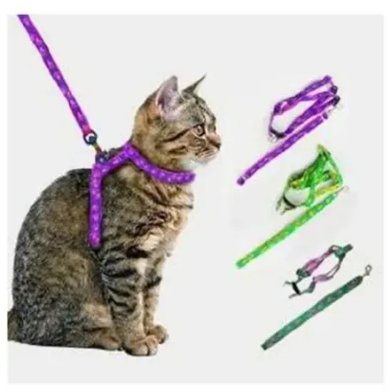 Kedi Tasması resmi