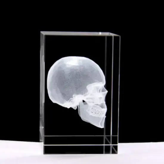 3D Kristal Kafatası Modeli resmi