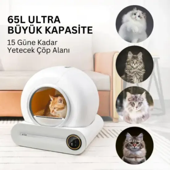 Akıllı Otomatik Kedi Tuvaleti resmi