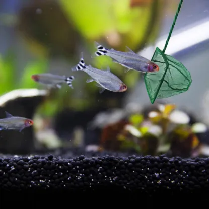 Akvaryum Balık Kepçesi 12 cm. resmi