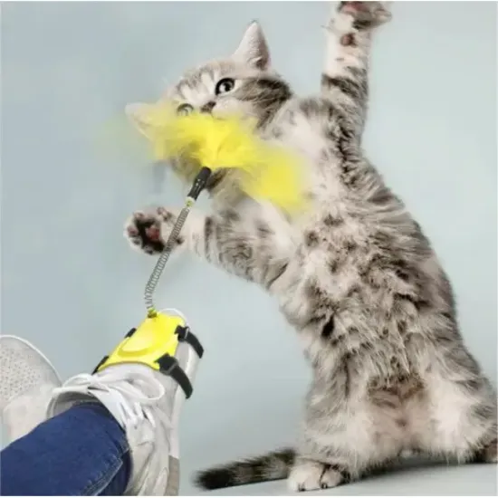 Ayağa Takılan Kedi Oyun Oltası resmi