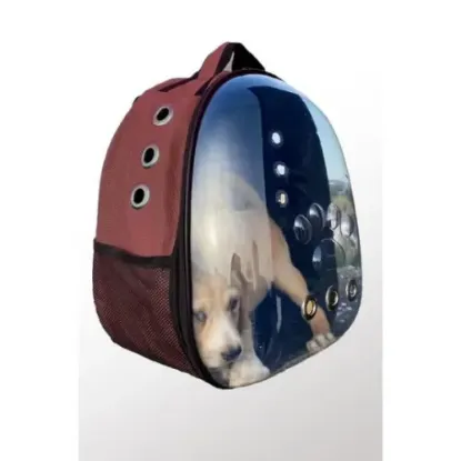 Deri Astronot Kedi Ve Köpek Taşıma Çantası Bordo Renk resmi
