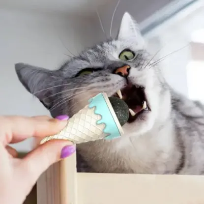 DONDURMA ŞEKLİNDE KEDİ NANESİ KEDİ OTU resmi
