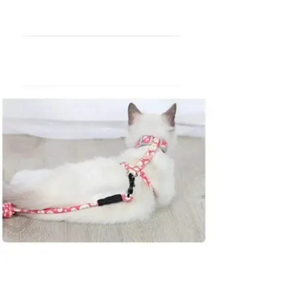 Kedi Gezdirme Göğüs Tasması  resmi