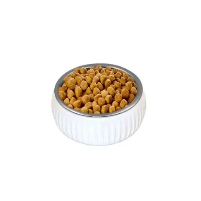 Mikopet Organik Seramik Mama Kabı Beyaz resmi