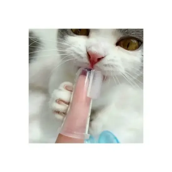 Kedi Köpek Diş Temizleme Fırçası resmi