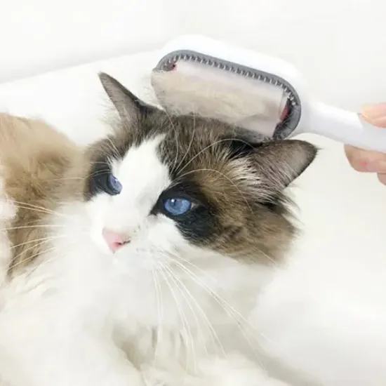Kedi Köpek Tüy Toplama Tarağı resmi