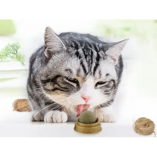 Kedi Otu Oyun Topu Cat Mint resmi