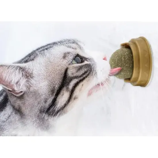 Kedi Otu Oyun Topu Cat Mint resmi