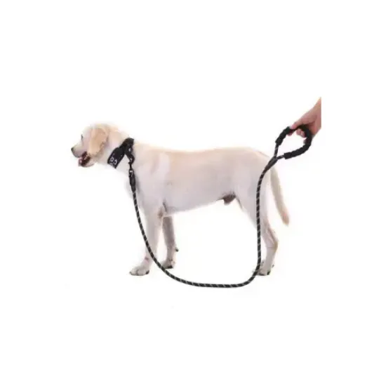 Reflektörlü Köpek Tasması 130 Cm. resmi