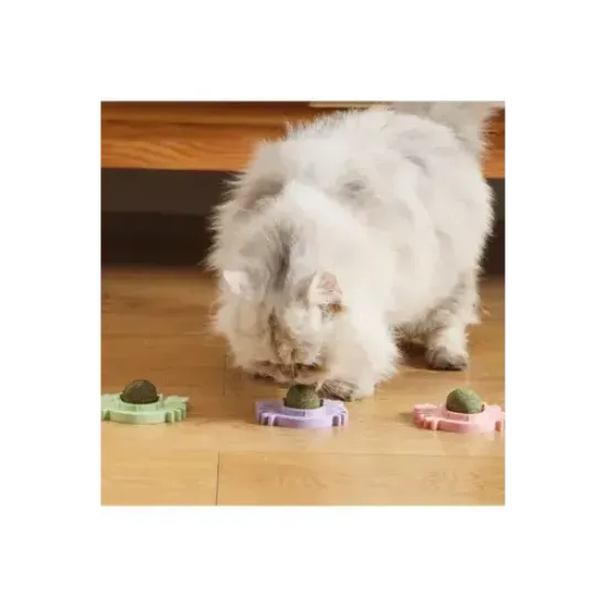 Yengeç Kedi Otu Oyun Topu resmi
