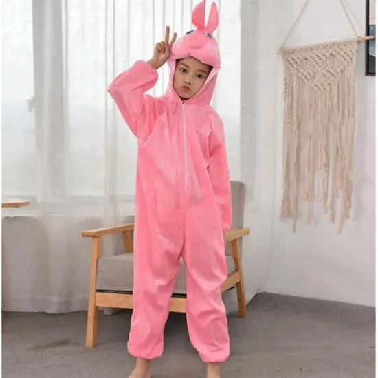 Çocuk Tavşan Kostümü Pembe Renk 4-5 Yaş resmi