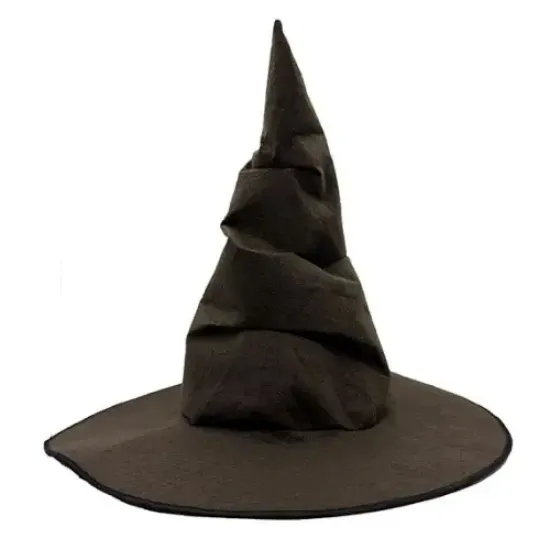 Harry Potter Seçmen Şapkası Çocuk Boy resmi