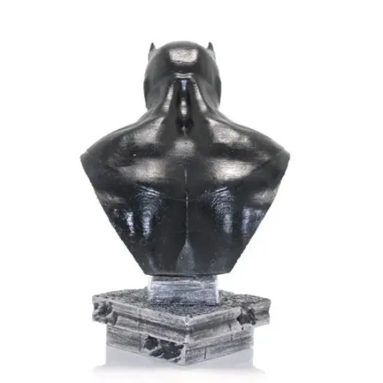 Darth Vader Büst resmi