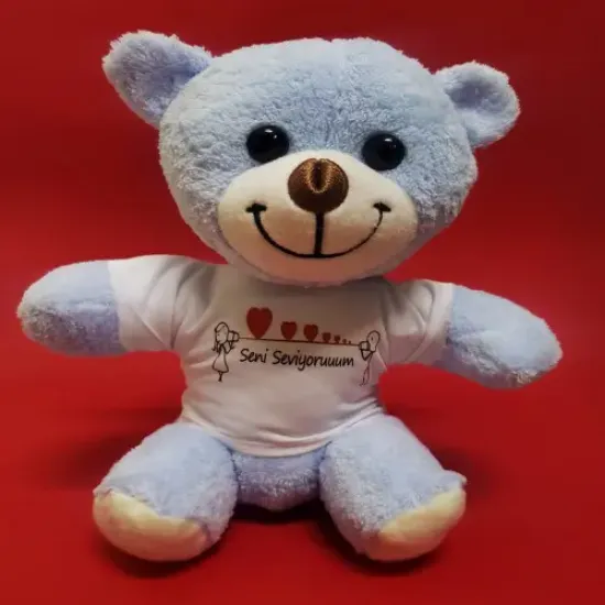 Seni Seviyorum Tişörtlü Peluş Ayıcık  resmi