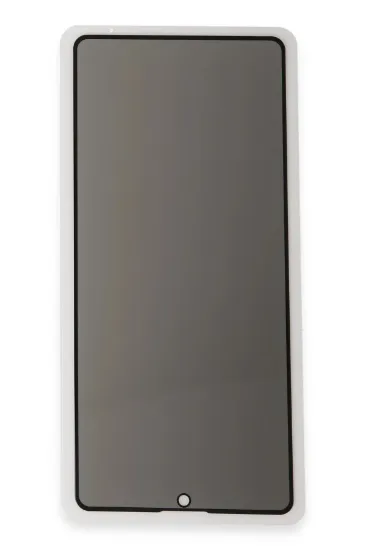 Newface Samsung Galaxy S24 Plus 3D Antistatik Hayalet Cam Ekran Koruyucu resmi