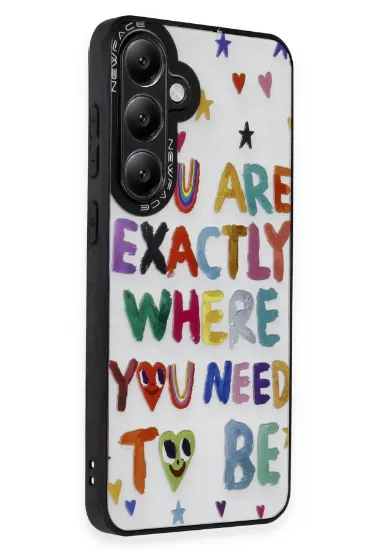 Newface Samsung Galaxy S24 Plus Kılıf Mirror Desenli Kapak - Mirror - 10 resmi