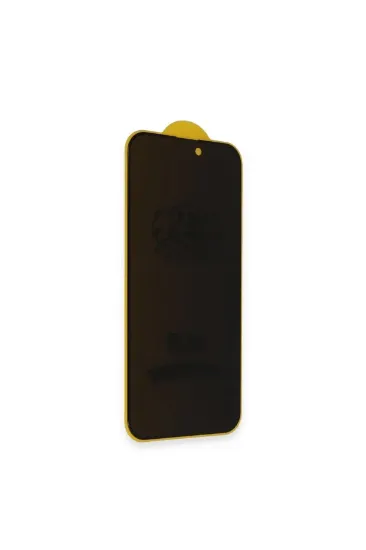 Newface iPhone 16 Plus Bilvis 3D Hayalet Cam Ekran Koruyucu resmi