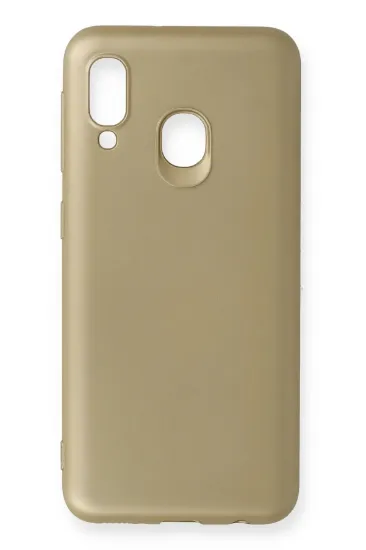 Newface Samsung Galaxy A20E Kılıf First Silikon - Gold resmi