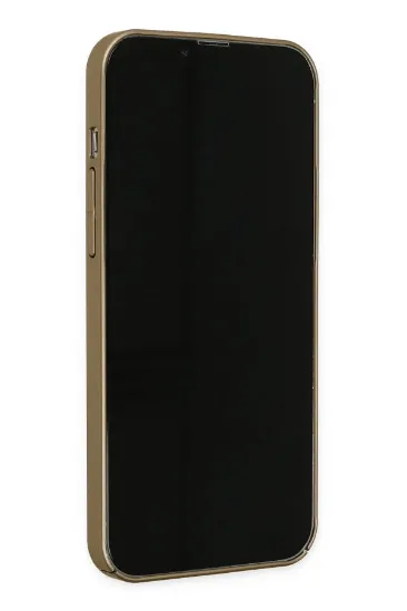 Newface iPhone 13 Pro Max Kılıf Jack Magneticsafe Lens Silikon - Gold resmi