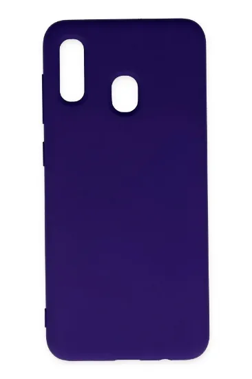 Newface Samsung Galaxy A20 Kılıf Nano içi Kadife Silikon - Mor resmi