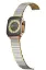 Newface Apple Watch 38mm Made Metal Kordon - Gümüş-Gold resmi