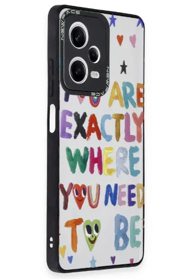 Newface Xiaomi Redmi Note 12 Pro 5G Kılıf Mirror Desenli Kapak - Mirror - 10 resmi