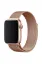 Newface Apple Watch 38mm Metal Mıknatıslı Kordon - Bakır resmi