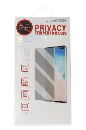 Newface Samsung Galaxy S21 Plus Hayalet Edge Cam Ekran Koruyucu resmi