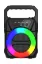 Newface ABS-1309 RGB FM Kablosuz Hoparlör - Siyah resmi