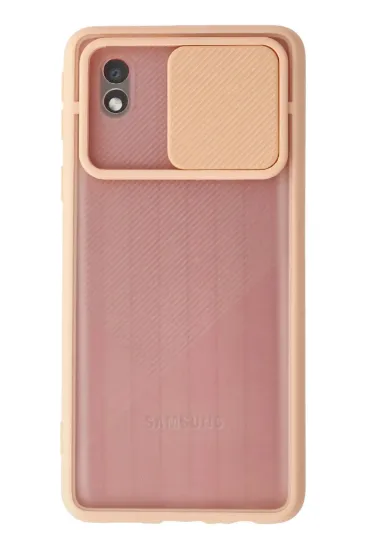 Newface Samsung Galaxy A01 Core Kılıf Palm Buzlu Kamera Sürgülü Silikon - Pembe resmi
