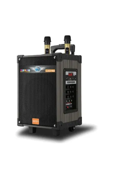 Newface LT912 Kablosuz Hoparlör resmi