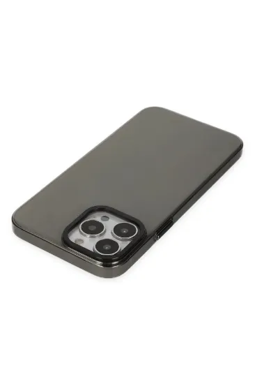 Newface iPhone 13 Pro Kılıf Anka PC Sert Metal Kapak - Siyah resmi