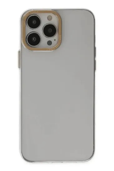 Newface iPhone 13 Pro Kılıf Anka PC Sert Metal Kapak - Şeffaf resmi