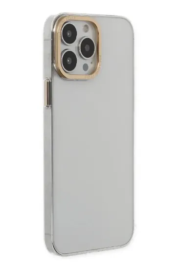 Newface iPhone 13 Pro Kılıf Anka PC Sert Metal Kapak - Şeffaf resmi