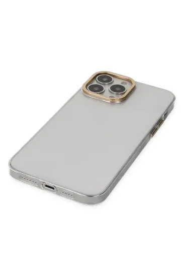 Newface iPhone 13 Pro Kılıf Anka PC Sert Metal Kapak - Şeffaf resmi