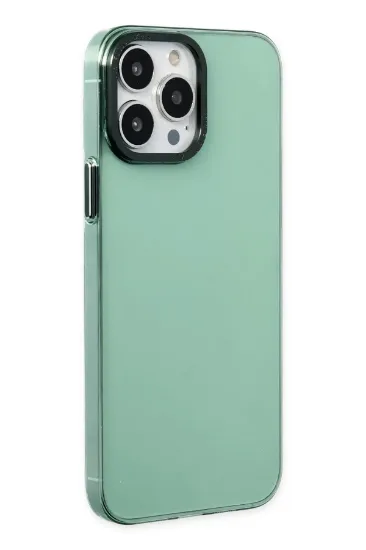 Newface iPhone 13 Pro Max Kılıf Anka PC Sert Metal Kapak - Yeşil resmi