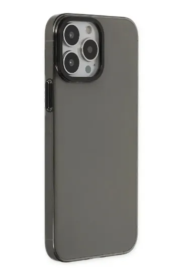 Newface iPhone 13 Pro Max Kılıf Anka PC Sert Metal Kapak - Siyah resmi