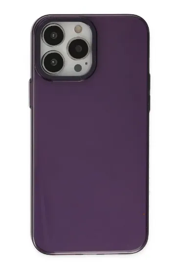 Newface iPhone 13 Pro Max Kılıf Anka PC Sert Metal Kapak - Mor resmi